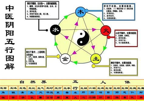 加拿大 五行|加拿大五行属什么属性的留学生